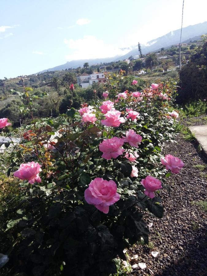 Vivienda Vacacional La Graja Santa Cruz de la Palma  Eksteriør billede
